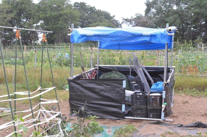 rururu20140713 (3).jpg